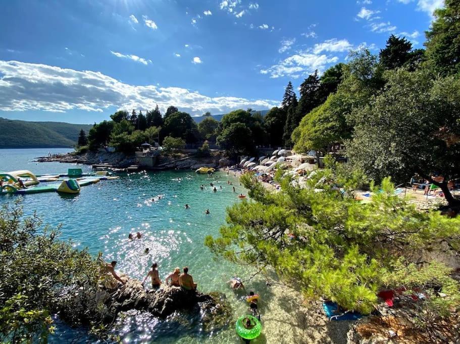 Vesna With A Terrace And Sea View Rabac